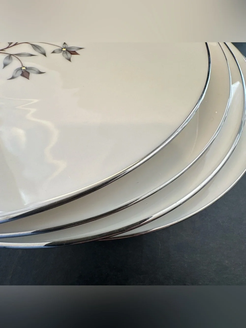 Lenox Princess Dinner Plates PAIR Hand Enameled Platinum Trim Thanksgiving Fall
